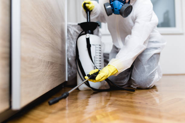 Wasp Removal Services in Hudson, TX