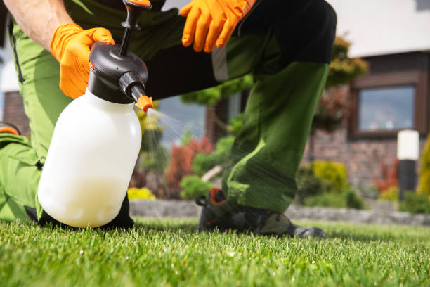 Best Rat Extermination Near Me  in Hudson, TX