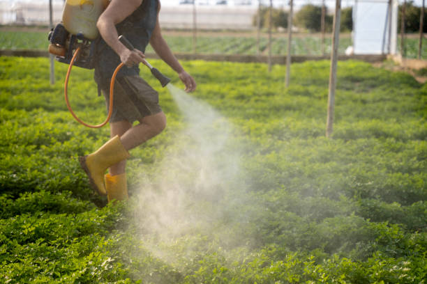 Best Affordable Pest Control Services  in Hudson, TX