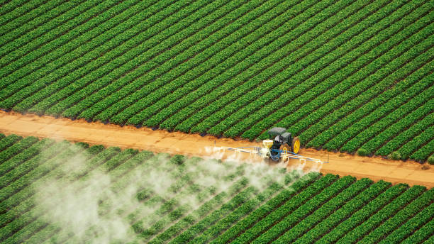 Best Termite Control Services  in Hudson, TX