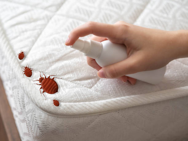 Best Best Pest Control Companies  in Hudson, TX