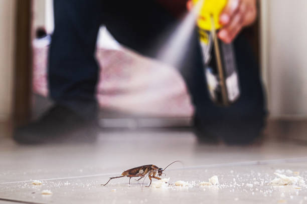 Best Emergency Pest Control  in Hudson, TX